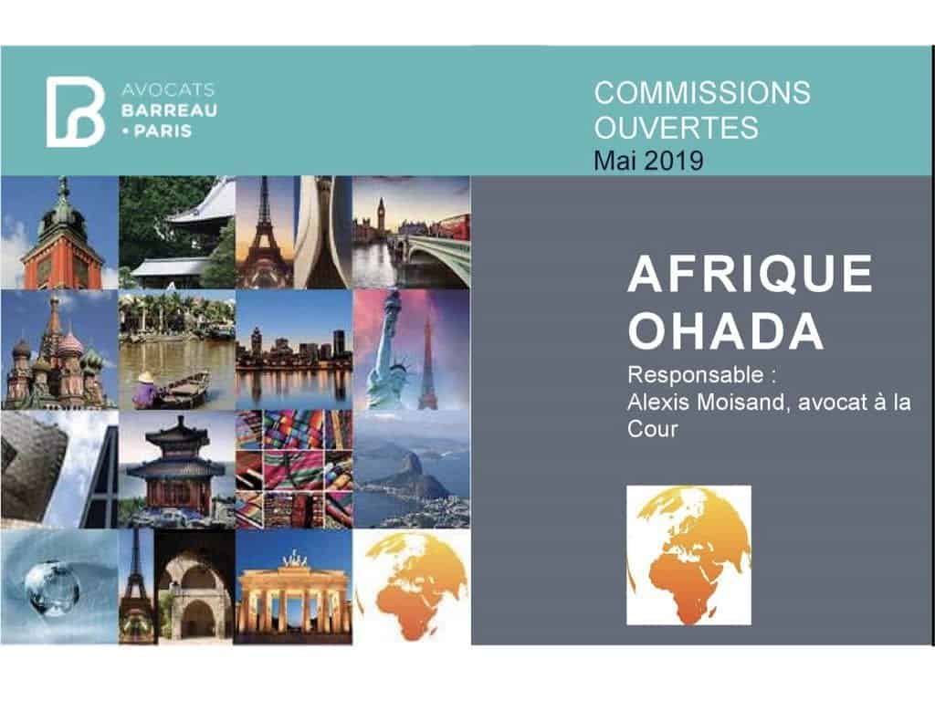 239-blockchain-de-certification-et-de-traçabilité-conference-barreau-de-paris-OHADA-afrique-tech-Constellation-Avocats©Ledieu-Avocats.058-1024x768