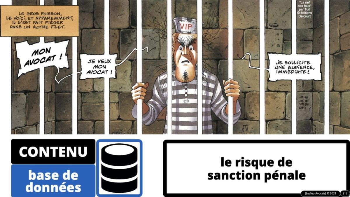 334 extraction indexation BASE DE DONNEES © Ledieu-avocat 24-05-2021.111