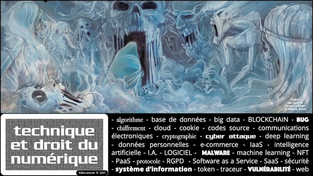 358 cyberattaque vulnérabilité malware responsabilité EGE 09-11-2021 © Ledieu-Avocats technique droit numerique blog BD.003