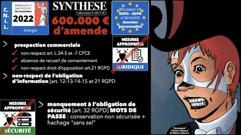 #432-07 RGPD synthèse + CNIL jurisprudence actualité © Ledieu-Avocats 04-12-2022.080