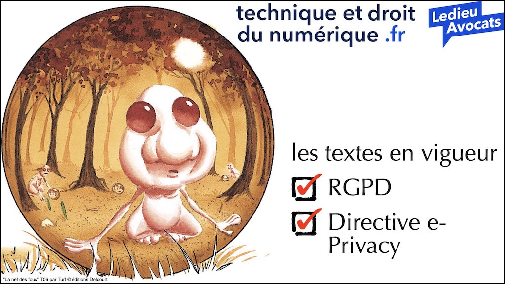 #462 principes RGPD actualité données personnelles jurisprudence CNIL #01 TEXTES + preuve + sanctions © Ledieu-Avocats 11-04-2023.007