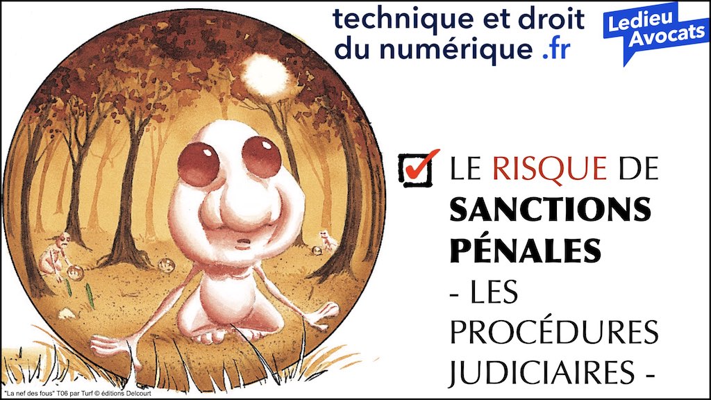 #462 principes RGPD actualité données personnelles jurisprudence CNIL #01 TEXTES + preuve + sanctions © Ledieu-Avocats 11-04-2023.049