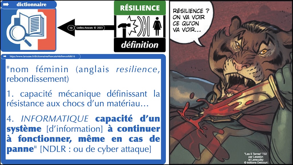 #507 déchiffrer DORA #03 résilience (numérique) et principe de proportionnalité © Ledieu-Avocats 28-10-2023.010