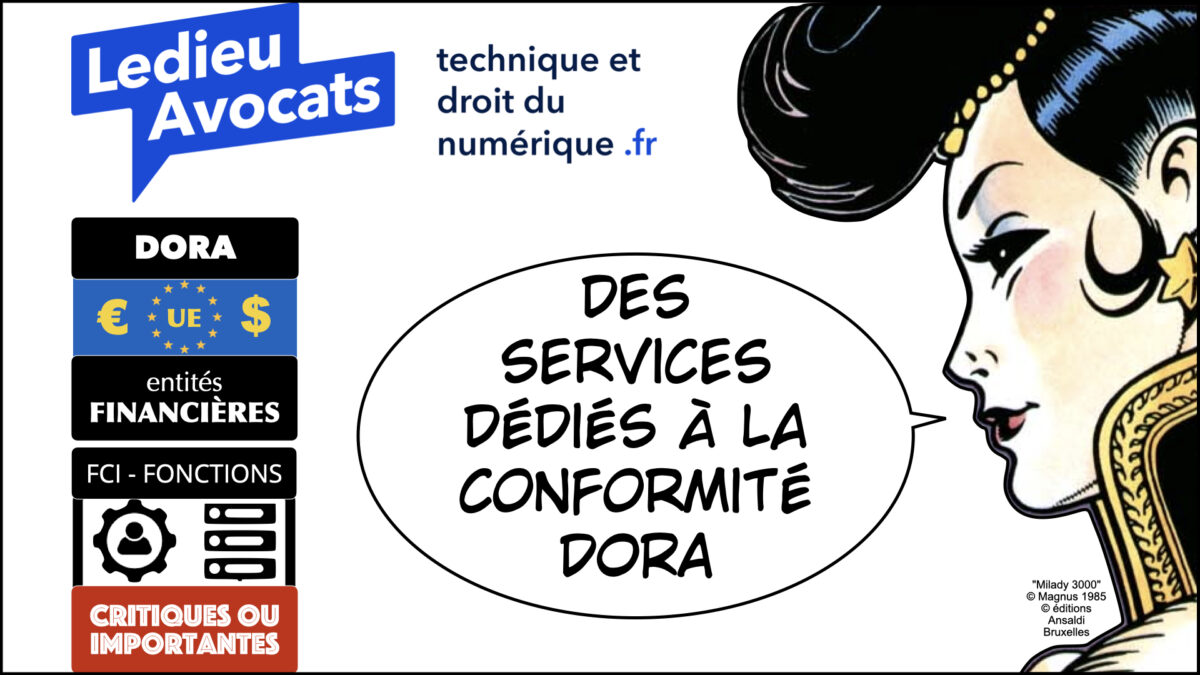DORA nos services nos partenaires © Ledieu-Avocats 2024
