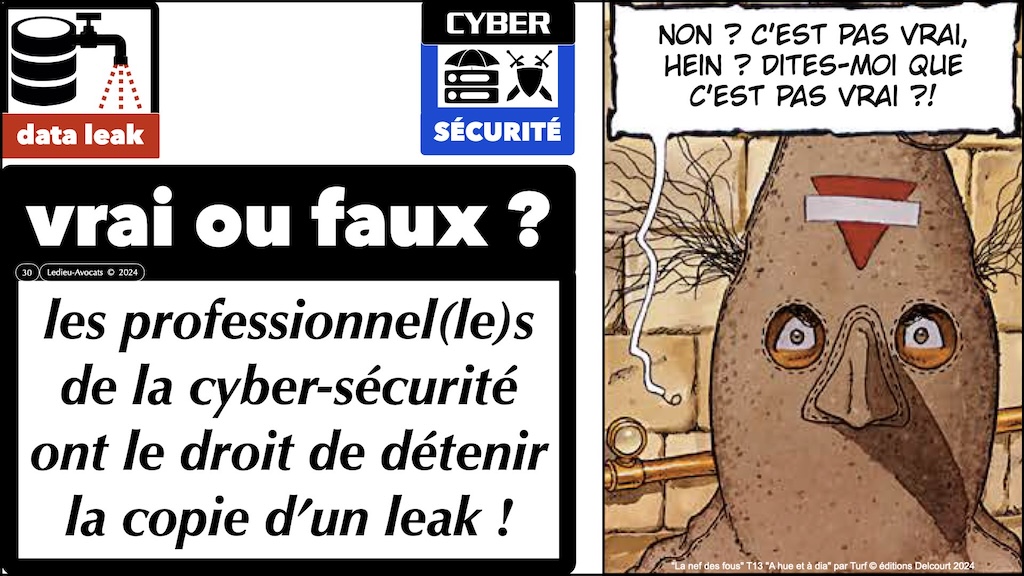 #591 OSINT et Leak c'est légal ou c'est pénal [OSINT-FR ECW 18 novembre 2024] © Ledieu-Avocats 17-11-2024.030