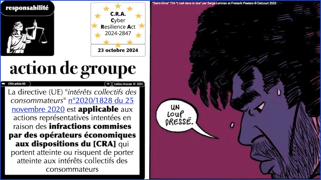 #627 CRA expliqué à ma grand mère part 1 © Ledieu-Avocats 04-05-2025.058