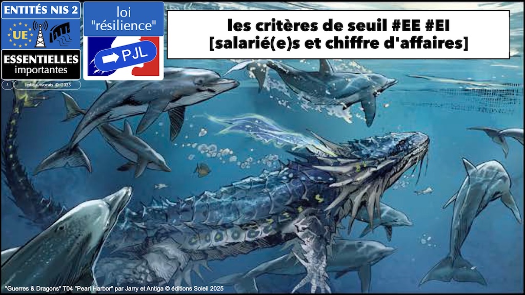 #646 NIS2 REC PJL Résilience des infrastructures critiques version v3.00 Sénat du 12 mars 2025 © Ledieu-Avocats 24-06-2025.003