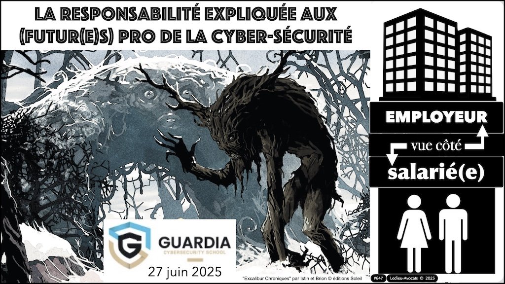 #647 RESPONSABILITE pénale civile PRINCIPES © Ledieu-Avocats 25-06-2025.002