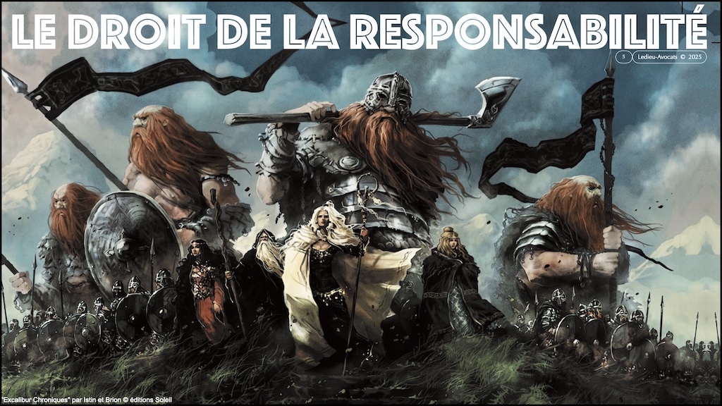 #647 RESPONSABILITE pénale civile PRINCIPES © Ledieu-Avocats 25-06-2025.005