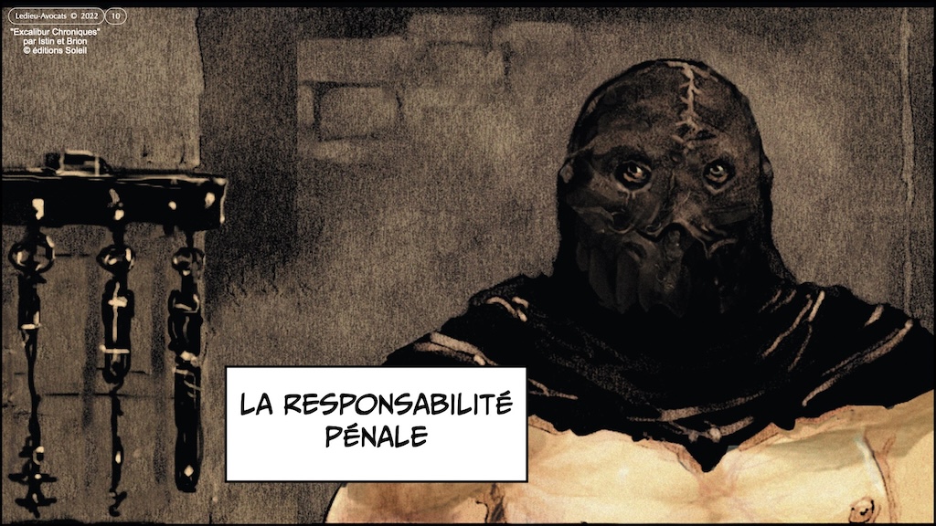 #647 RESPONSABILITE pénale civile PRINCIPES © Ledieu-Avocats 25-06-2025.010