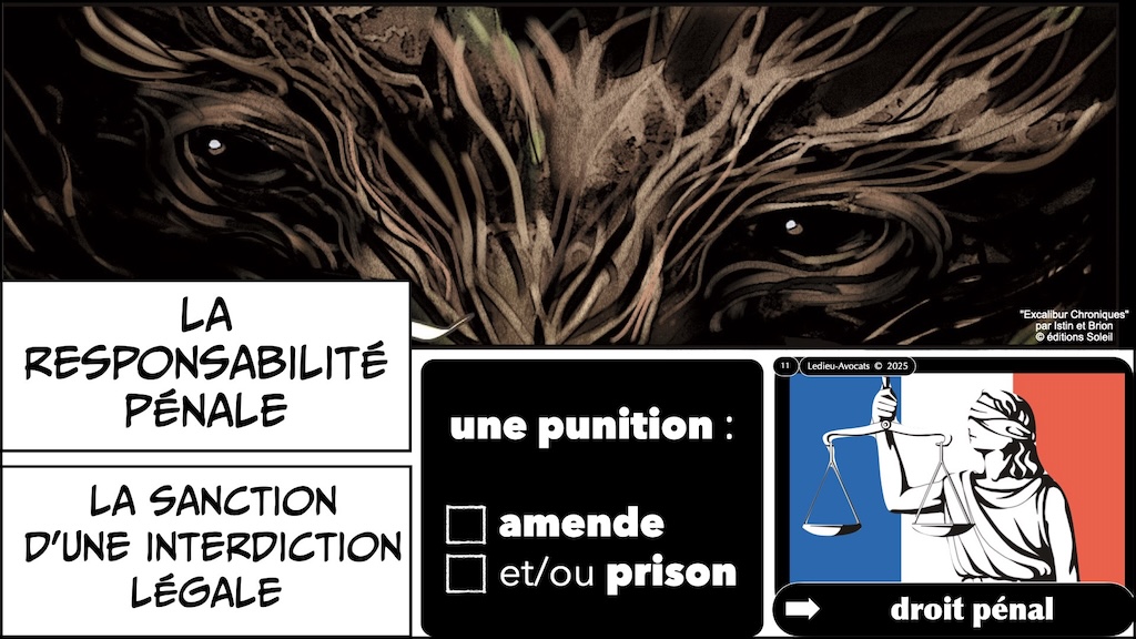 #647 RESPONSABILITE pénale civile PRINCIPES © Ledieu-Avocats 25-06-2025.011