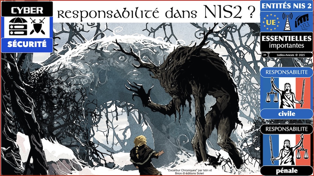 #647 RESPONSABILITE pénale civile PRINCIPES © Ledieu-Avocats 25-06-2025.034