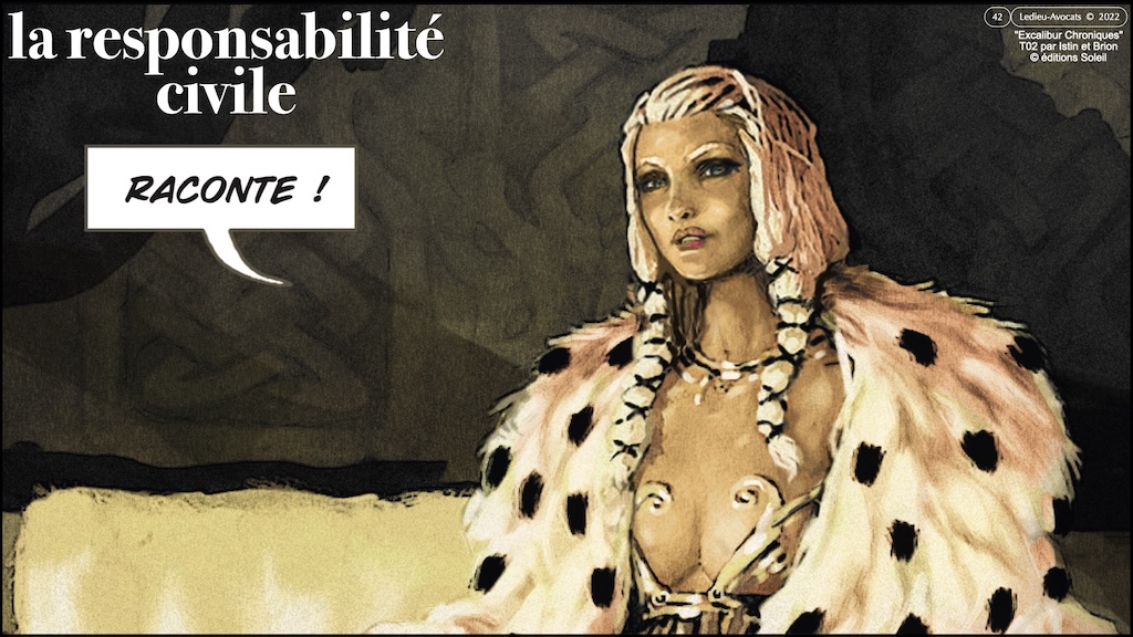 #647 RESPONSABILITE pénale civile PRINCIPES © Ledieu-Avocats 25-06-2025.042