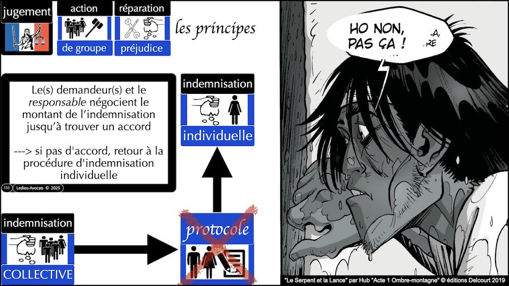 #661 action groupe indemnisation individuelle ou collective #7:7 © Ledieu-Avocats 26-07-2025.133