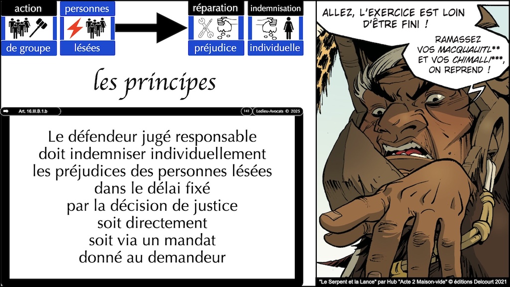 #661 action groupe indemnisation individuelle ou collective #7:7 © Ledieu-Avocats 26-07-2025.141