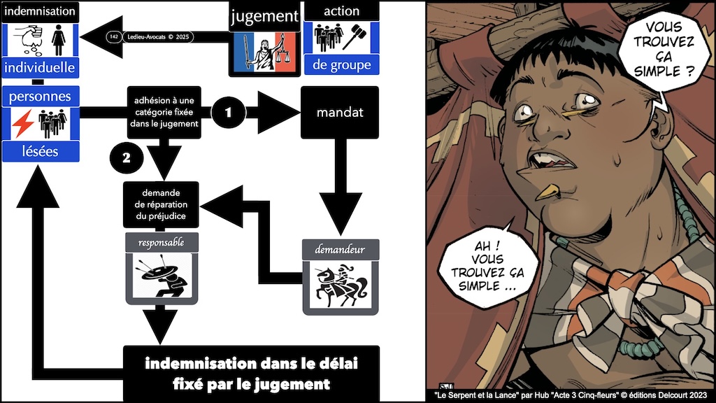 #661 action groupe indemnisation individuelle ou collective #7:7 © Ledieu-Avocats 26-07-2025.142