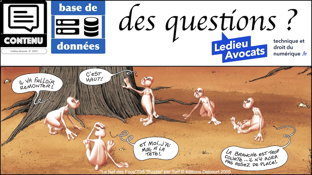 #667-base-de-données-le-droit-de-reutilisation-épisode-04-12 © Ledieu-Avocats 2025.017
