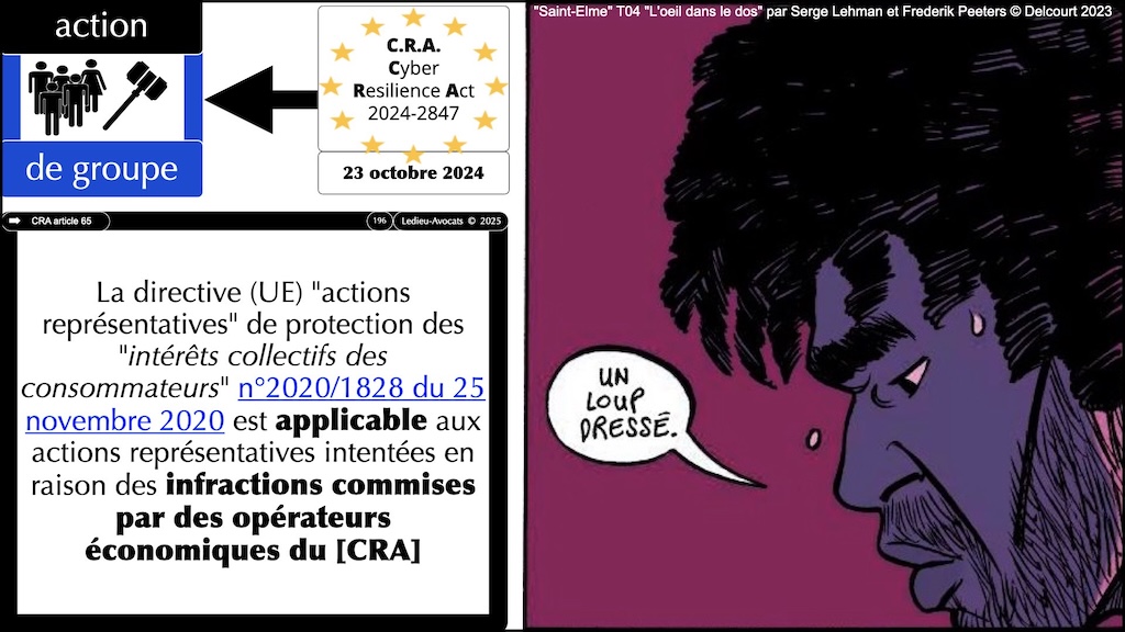 #701-base-de-données-le-risque-de-sanction-civile-et-pénale-épisode-09-12 © Ledieu-Avocats 2026.025