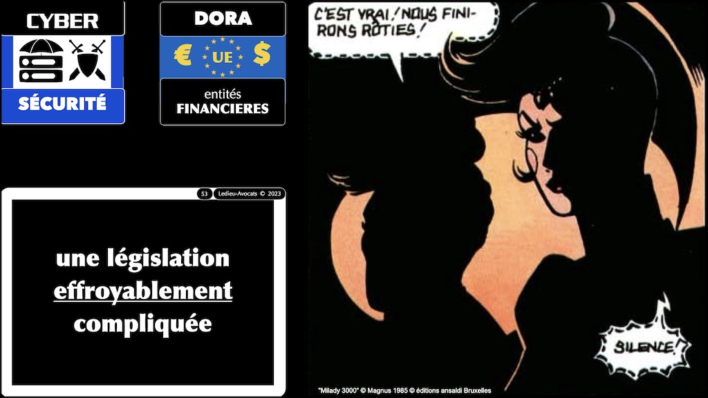 #672-1 cyber-sécurité pourquoi ? Aéma Groupe © Ledieu-Avocats 09 septembre 2025.053