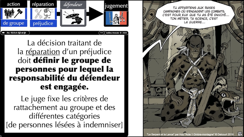 #660 action groupe réparation du préjudice #6:7 © Ledieu-Avocats 26-07-2025.114