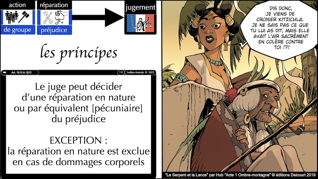 #660 action groupe réparation du préjudice #6:7 © Ledieu-Avocats 26-07-2025.118